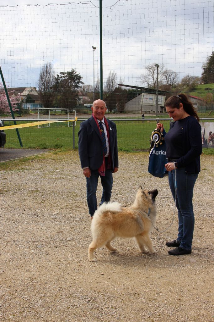 CH. Touch of bailey's 4 cleymes De Prana Des Loups