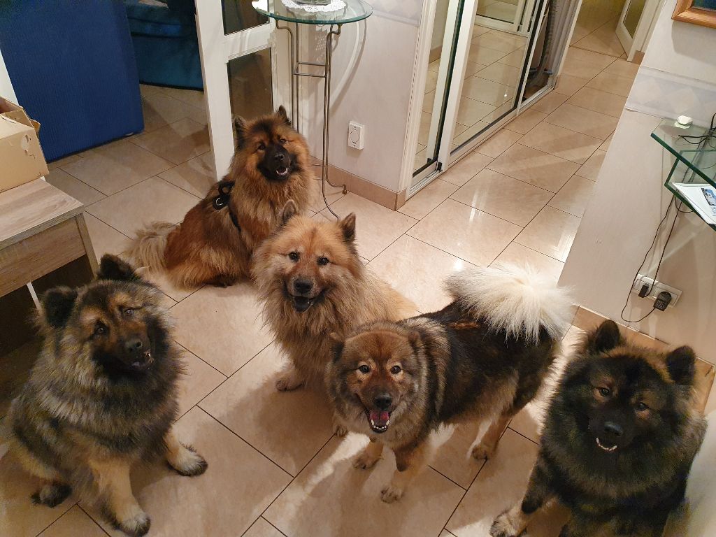 Photos de famille 